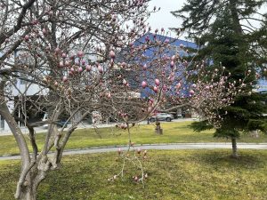 Case study: STB completes £4m redevelopment loan for Suffolk magistrates’ court