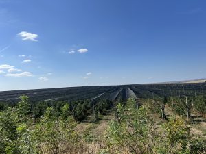 Китайските учени разработват ново устройство за преобразуване на триенето на гумите в чиста енергия
