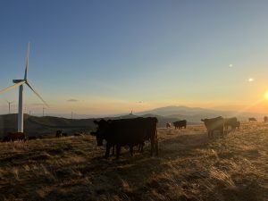 Case study: Avamore Capital delivers £626k development funding