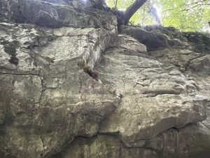 Още международни морски дела се приземяват в Китай