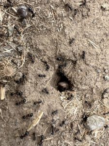 Кредиторите на МНК ще се възползват от нарастващите китайско-европейски връзки