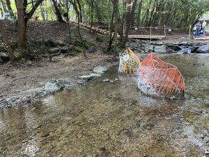 Шенжен дава възможност на възрастните хора с умения за изкуствен интелект