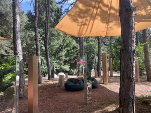 Case study: SDKA completes first AVM bridge with auction purchase