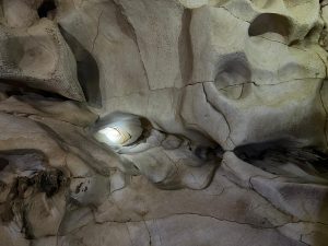 Търговията с услуги в Китай нараства със 7,6 процента през първите три тримесечия