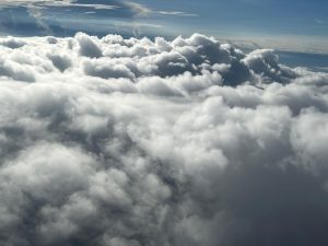 Съобщава се, че Tesla спира безплатния пробен период на услугата за асистирано шофиране в Китай · TechNode