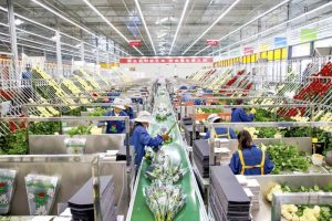 £30m PBSA funding backs 232-bed Durham scheme