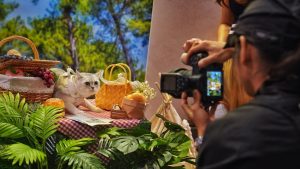 Китай казва, че икономическите и търговски връзки с Венецуела остават непроменени