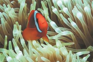 Яхване на вълните на промяната