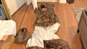 Как един костюм на мечка струва свободата на тези измамници със застраховане на луксозни автомобили