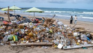 Жителите на индонезийския Бали прибягват до изгаряне на боклук след забраната за депониране на органични отпадъци