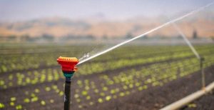 Beyond the Green: How Smart Irrigation Protects Property Value