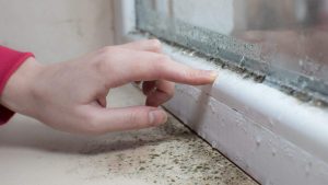 Damp or mould in more than half of PRS homes